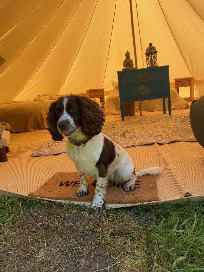 Swallows Oast Glamping Sedlescombe Exterior foto